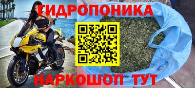 прущие крисы Комсомольск-на-Амуре