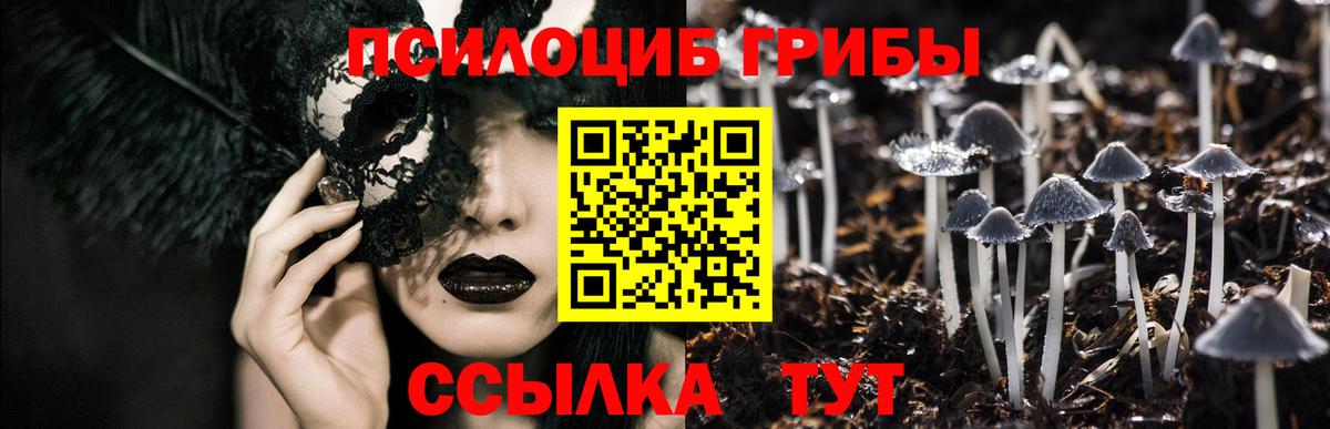 Псилоцибиновые грибы ЛСД Кисловодск